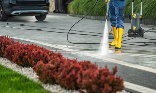 Best Dumpster Area Cleaning  in Durand, MI