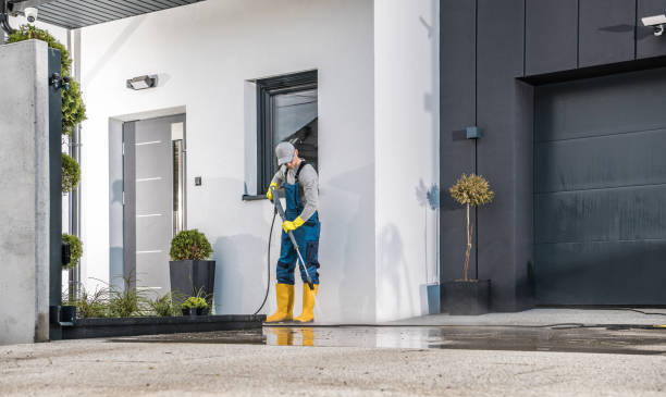 Best Solar Panel Cleaning  in Durand, MI